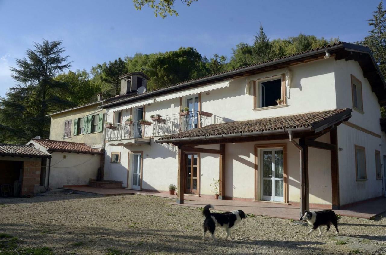 Rifugio Nel Bosco Bed & Breakfast รีเอติ ภายนอก รูปภาพ